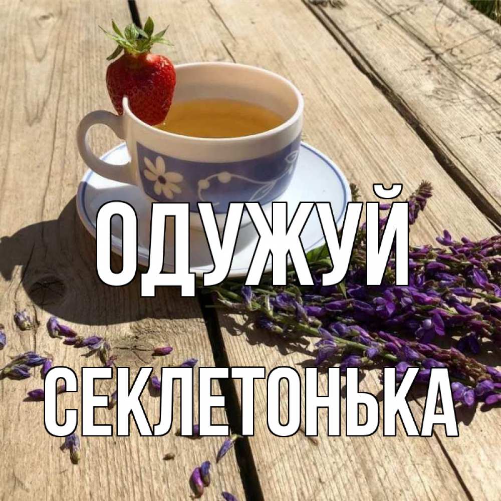 Открытка на каждый день з підписом, Секлетонька Одужуй чай Прикольна листівка з побажанням онлайн скачати безкоштовно 