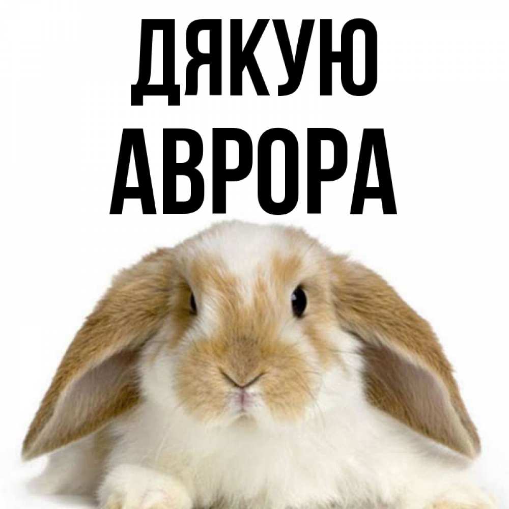 Открытка на каждый день з підписом, Аврора Дякую коричнево белый заяц Прикольна листівка з побажанням онлайн скачати безкоштовно 