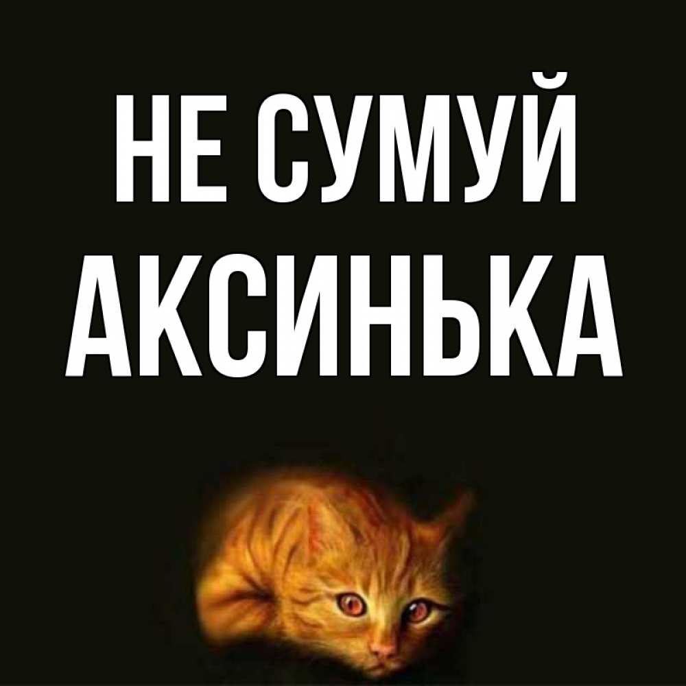 Открытка на каждый день з підписом, Аксинька Не сумуй лежащий кот в темноте Прикольна листівка з побажанням онлайн скачати безкоштовно 