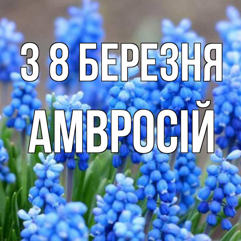 Открытка на каждый день з підписом, Амвросій З 8 БЕРЕЗНЯ Поздравительная открытка для женщин с цветами на праздничную дату Прикольна листівка з побажанням онлайн скачати безкоштовно 