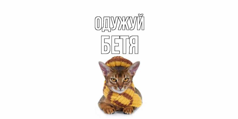Открытка на каждый день з підписом, Бетя Одужуй родные не болейте Прикольна листівка з побажанням онлайн скачати безкоштовно 