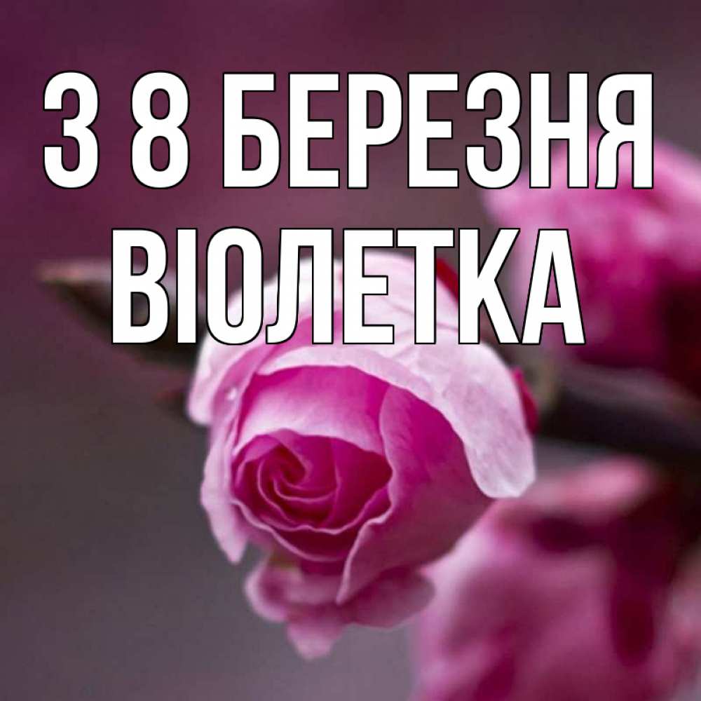 Открытка на каждый день з підписом, Віолетка З 8 БЕРЕЗНЯ весна Прикольна листівка з побажанням онлайн скачати безкоштовно 