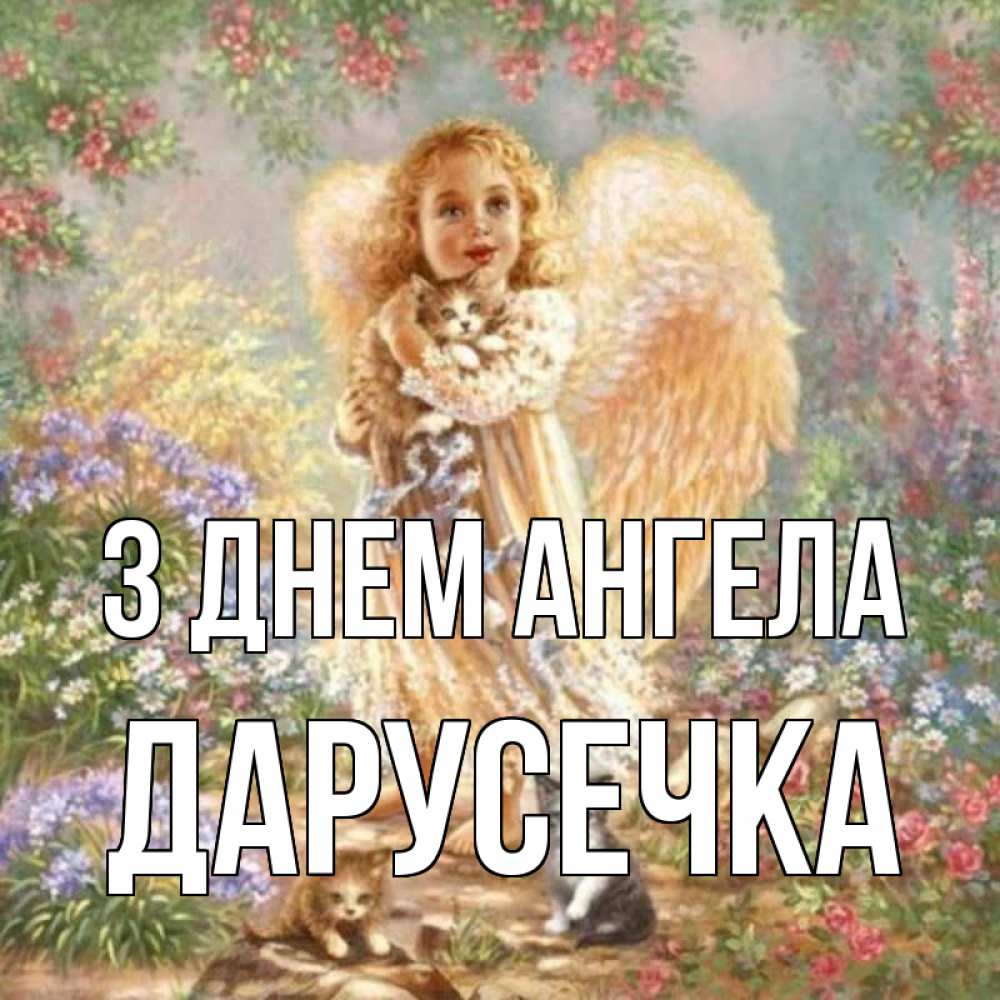 Открытка на каждый день з підписом, Дарусечка З Днем ангела держит котенка Прикольна листівка з побажанням онлайн скачати безкоштовно 