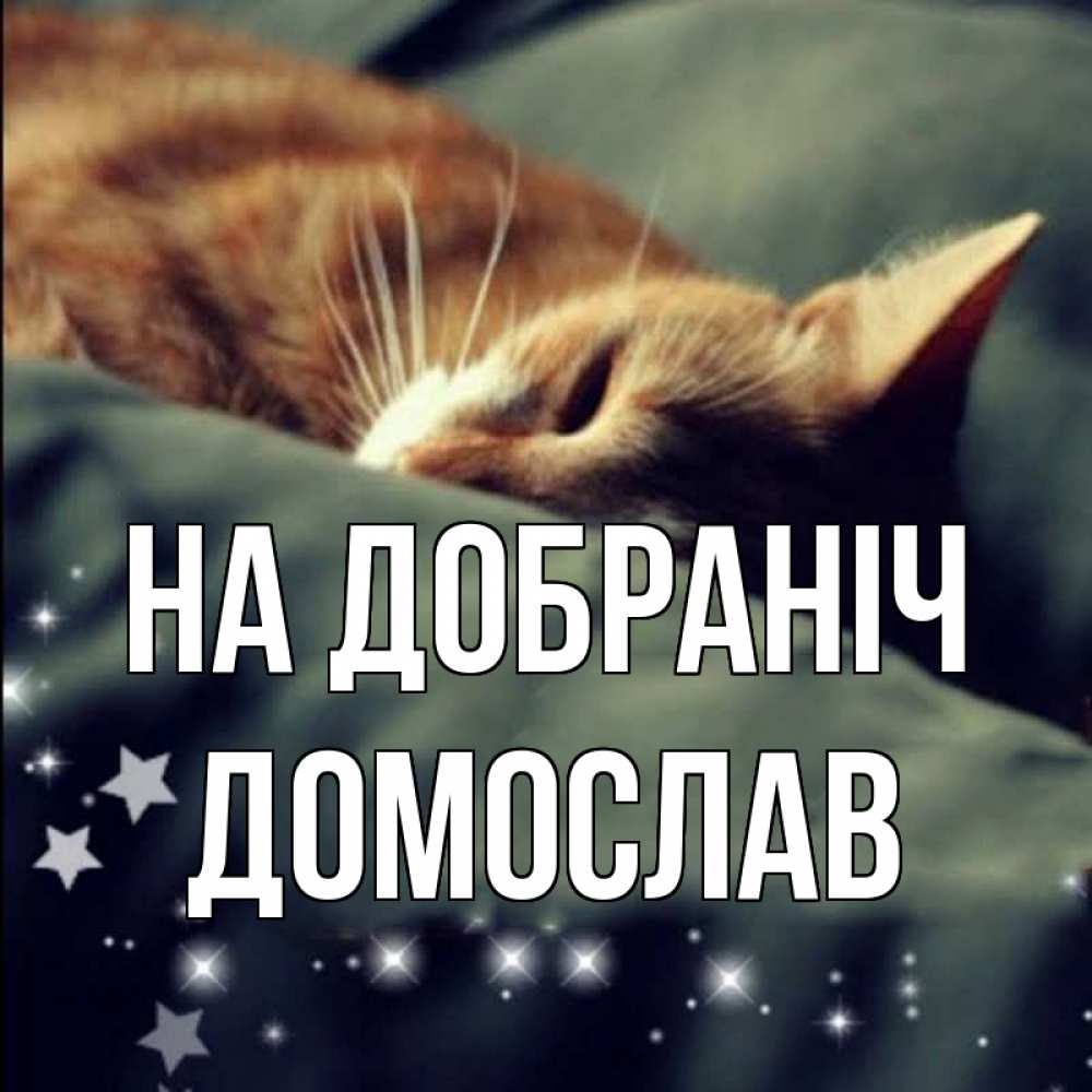 Открытка на каждый день з підписом, Домослав На добраніч кроватка Прикольна листівка з побажанням онлайн скачати безкоштовно 