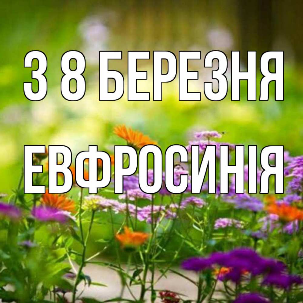 Открытка на каждый день з підписом, Евфросинія З 8 БЕРЕЗНЯ цветы Прикольна листівка з побажанням онлайн скачати безкоштовно 