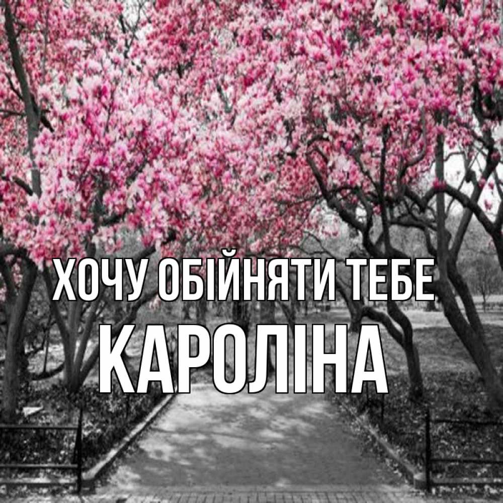 Открытка на каждый день з підписом, Кароліна Хочу обійняти тебе обработанное фото Прикольна листівка з побажанням онлайн скачати безкоштовно 