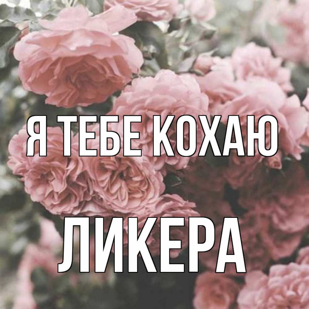 Открытка на каждый день з підписом, Ликера Я тебе кохаю розы 3 Прикольна листівка з побажанням онлайн скачати безкоштовно 