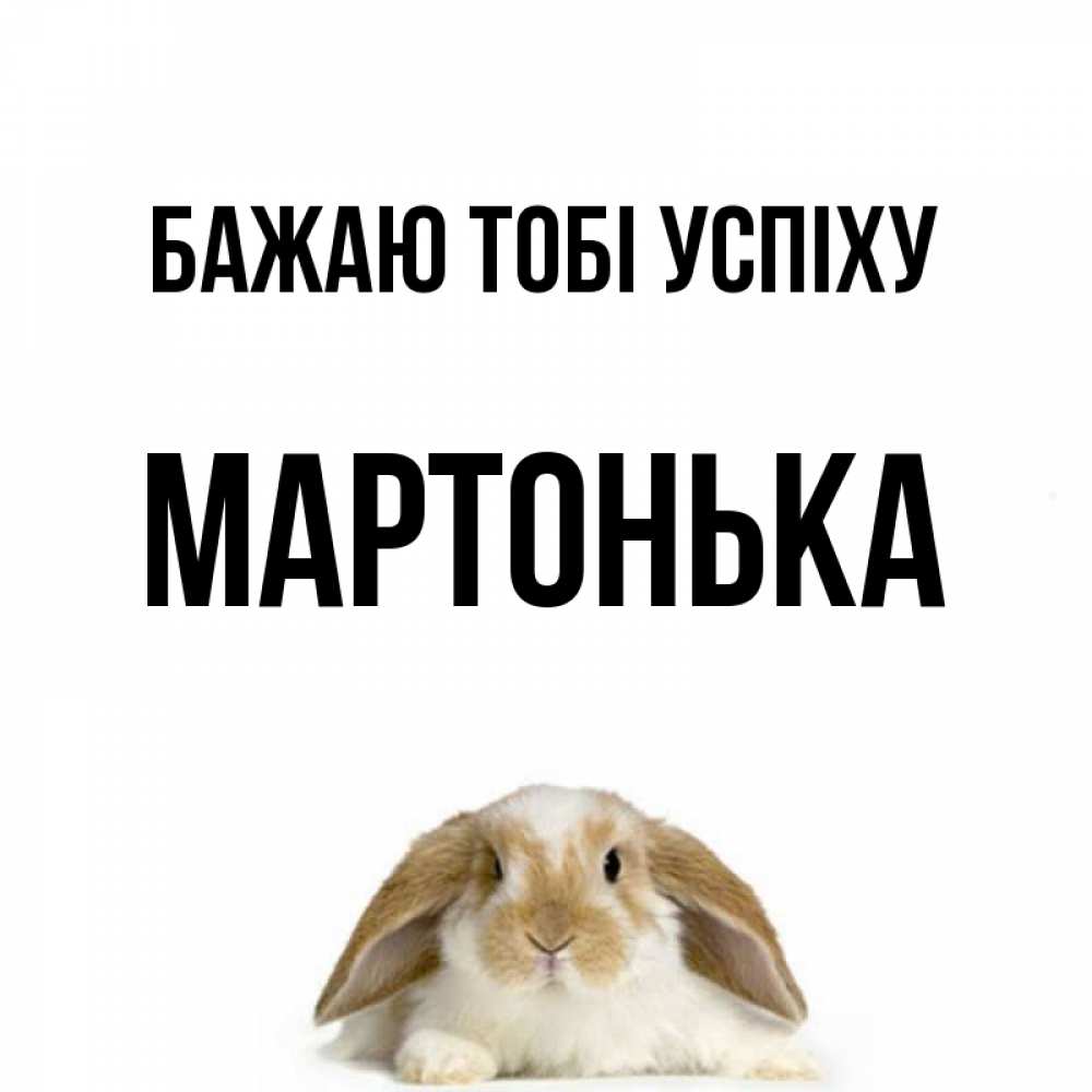 Открытка на каждый день з підписом, Мартонька Бажаю тобі успіху открытки с произвольным текстом который можно вставить в открытку и создать ее самостоятельно бесплатно онлайн Прикольна листівка з побажанням онлайн скачати безкоштовно 