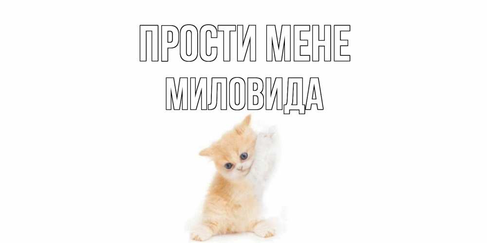 Открытка на каждый день з підписом, Миловида Прости мене кот Прикольна листівка з побажанням онлайн скачати безкоштовно 
