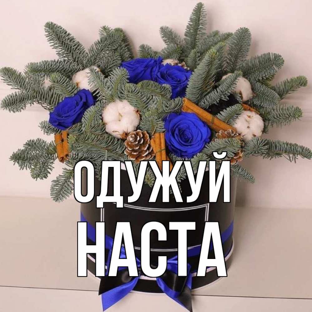 Открытка на каждый день з підписом, Наста Одужуй короче кто то загрузил эти шишки Прикольна листівка з побажанням онлайн скачати безкоштовно 
