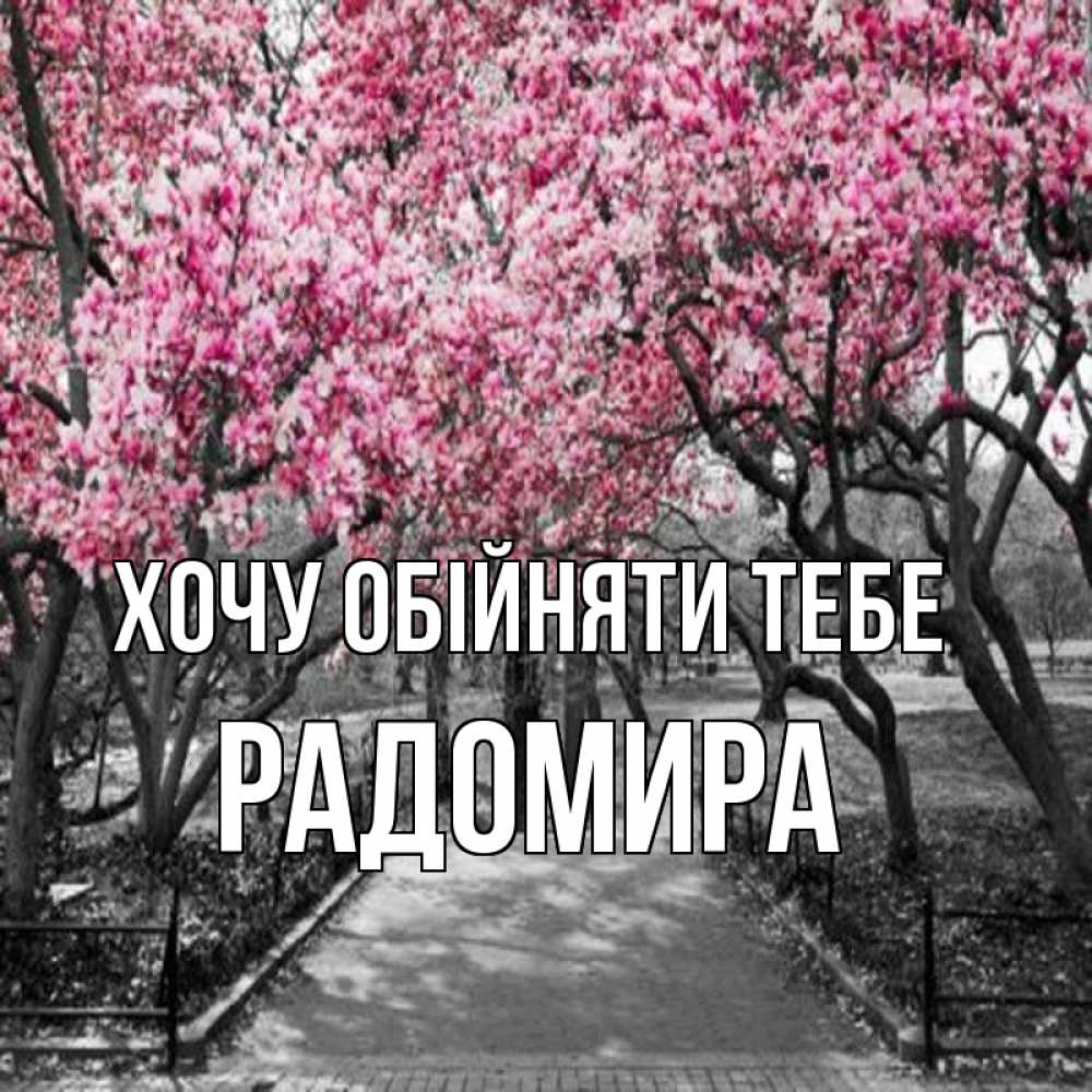 Открытка на каждый день з підписом, Радомира Хочу обійняти тебе обработанное фото Прикольна листівка з побажанням онлайн скачати безкоштовно 