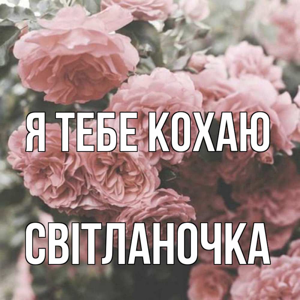 Открытка на каждый день з підписом, Світланочка Я тебе кохаю розы 3 Прикольна листівка з побажанням онлайн скачати безкоштовно 