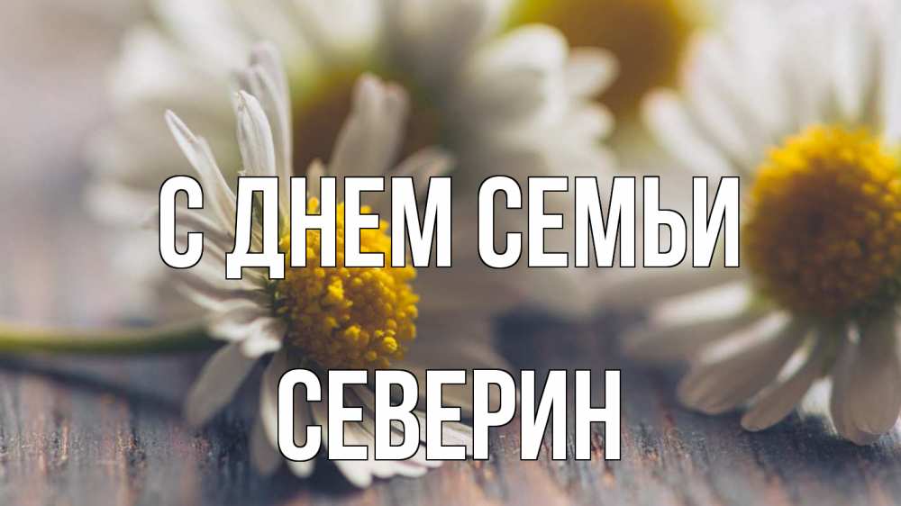 Открытка на каждый день з підписом, Северин С днем семьи с днем семьи Прикольна листівка з побажанням онлайн скачати безкоштовно 