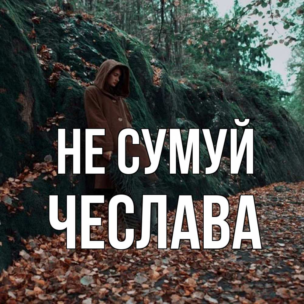 Открытка на каждый день з підписом, Чеслава Не сумуй осенний лес Прикольна листівка з побажанням онлайн скачати безкоштовно 