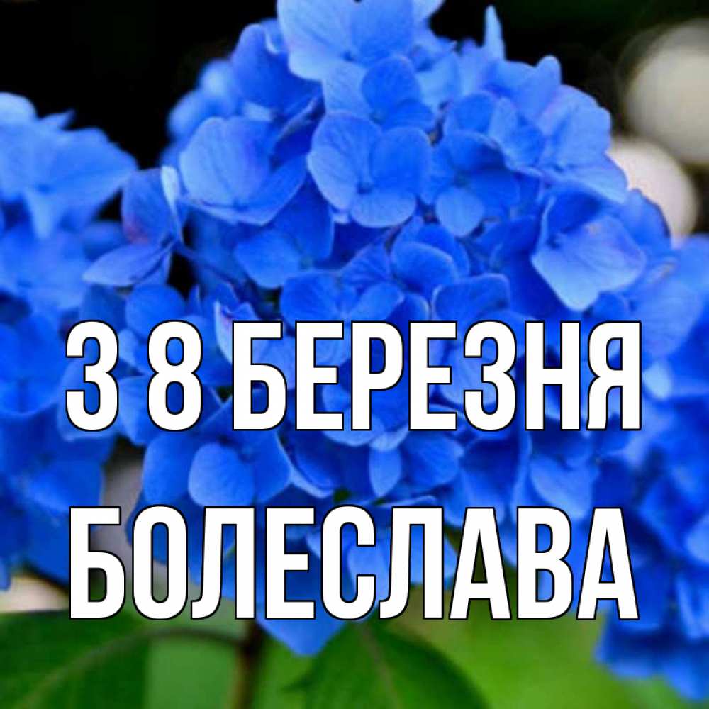 Открытка на каждый день з підписом, Болеслава З 8 БЕРЕЗНЯ синие цветы Прикольна листівка з побажанням онлайн скачати безкоштовно 