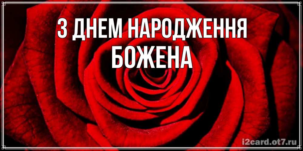 Открытка на каждый день з підписом, Божена З Днем народження алая роза Прикольна листівка з побажанням онлайн скачати безкоштовно 
