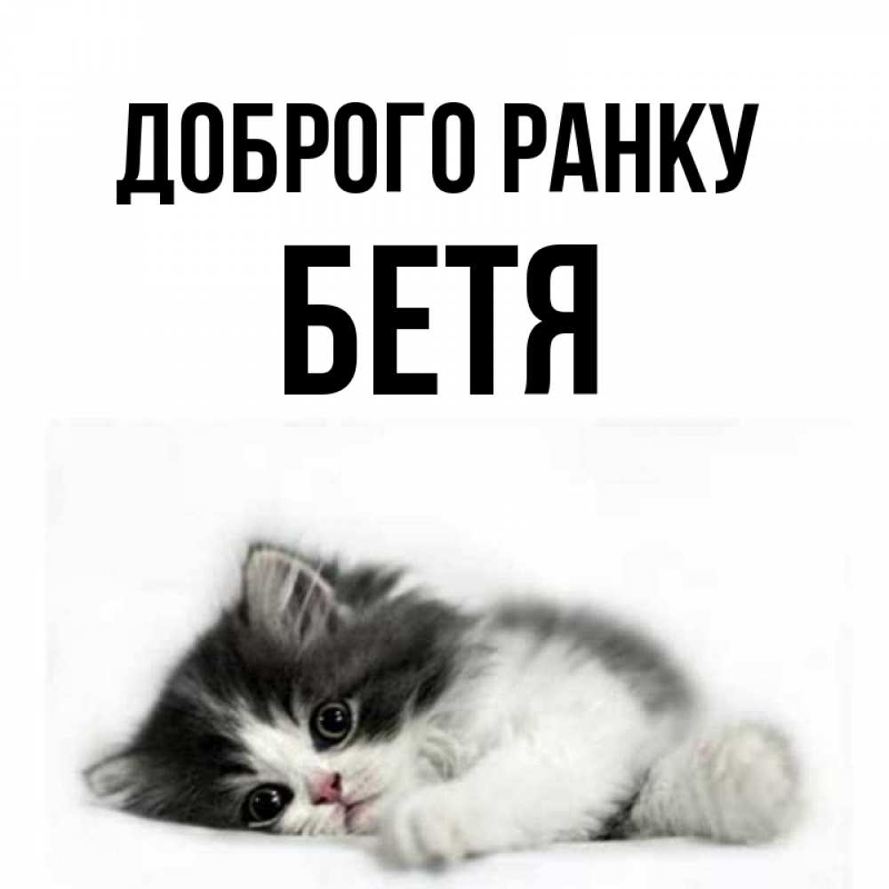Открытка на каждый день з підписом, Бетя Доброго ранку кот лапки Прикольна листівка з побажанням онлайн скачати безкоштовно 