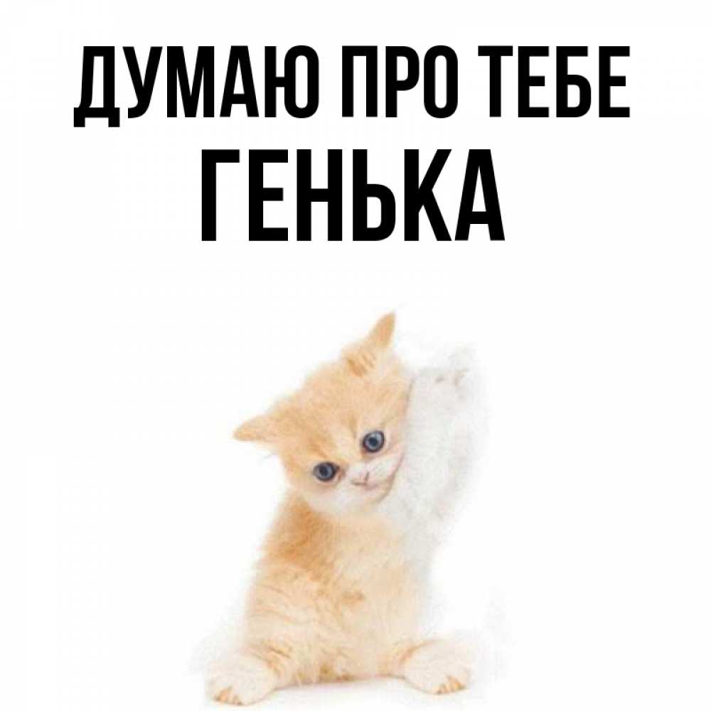 Открытка на каждый день з підписом, Генька Думаю про тебе зверушки и милота Прикольна листівка з побажанням онлайн скачати безкоштовно 