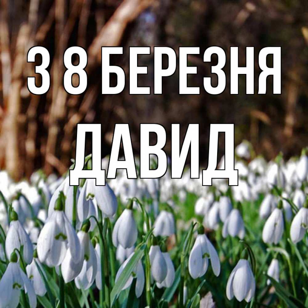 Открытка на каждый день з підписом, Давид З 8 БЕРЕЗНЯ с подснежниками 1 Прикольна листівка з побажанням онлайн скачати безкоштовно 