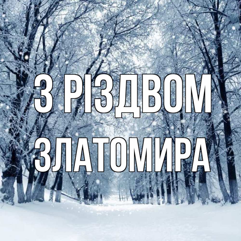 Открытка на каждый день з підписом, Златомира З Різдвом снег, лес, парк Прикольна листівка з побажанням онлайн скачати безкоштовно 