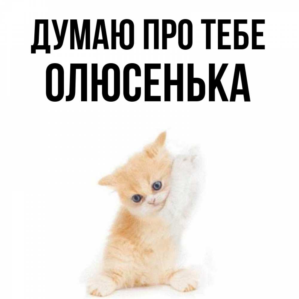 Открытка на каждый день з підписом, Олюсенька Думаю про тебе зверушки и милота Прикольна листівка з побажанням онлайн скачати безкоштовно 