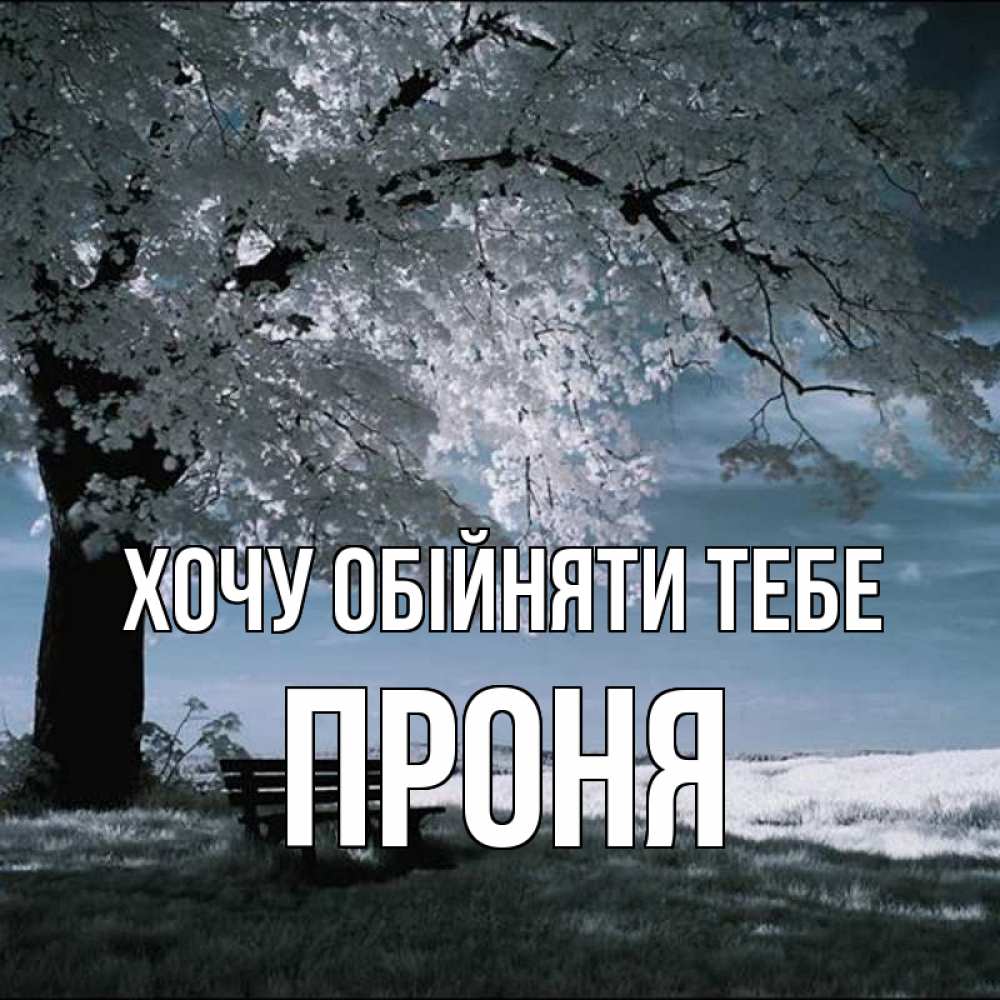 Открытка на каждый день з підписом, Проня Хочу обійняти тебе дерево Прикольна листівка з побажанням онлайн скачати безкоштовно 