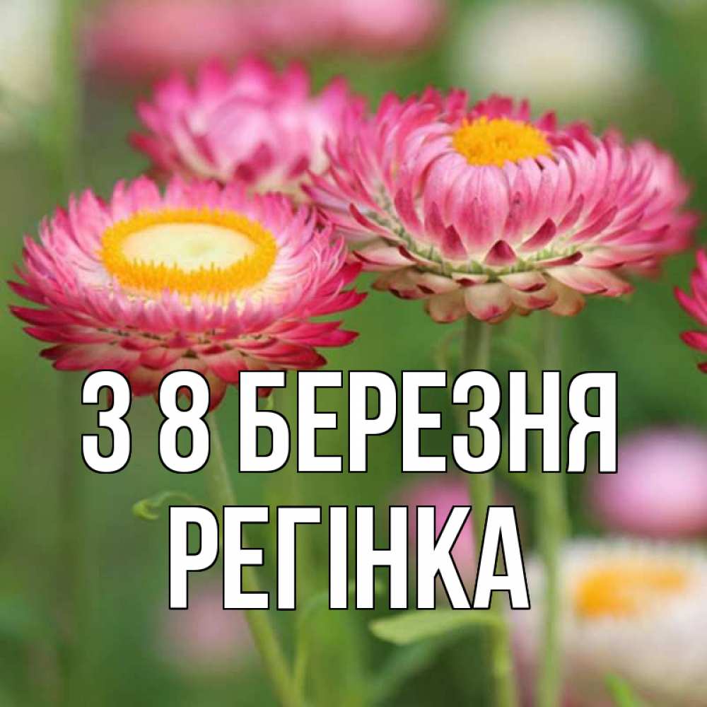 Открытка на каждый день з підписом, Регінка З 8 БЕРЕЗНЯ подарок на международный женский день Прикольна листівка з побажанням онлайн скачати безкоштовно 