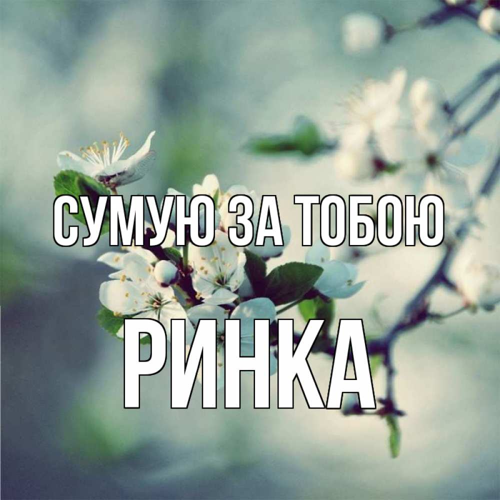 Открытка на каждый день з підписом, Ринка Сумую за тобою весна Прикольна листівка з побажанням онлайн скачати безкоштовно 