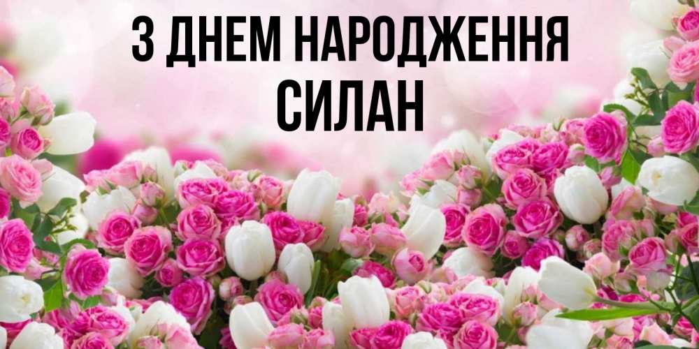 Открытка на каждый день з підписом, Силан З Днем народження открытка с разными розами Прикольна листівка з побажанням онлайн скачати безкоштовно 