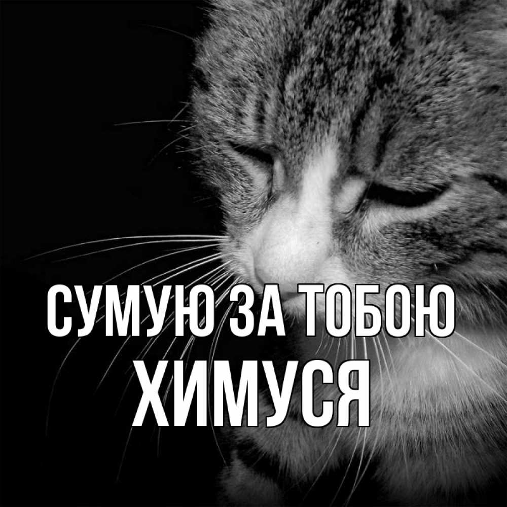 Открытка на каждый день з підписом, Химуся Сумую за тобою мне скучно Прикольна листівка з побажанням онлайн скачати безкоштовно 