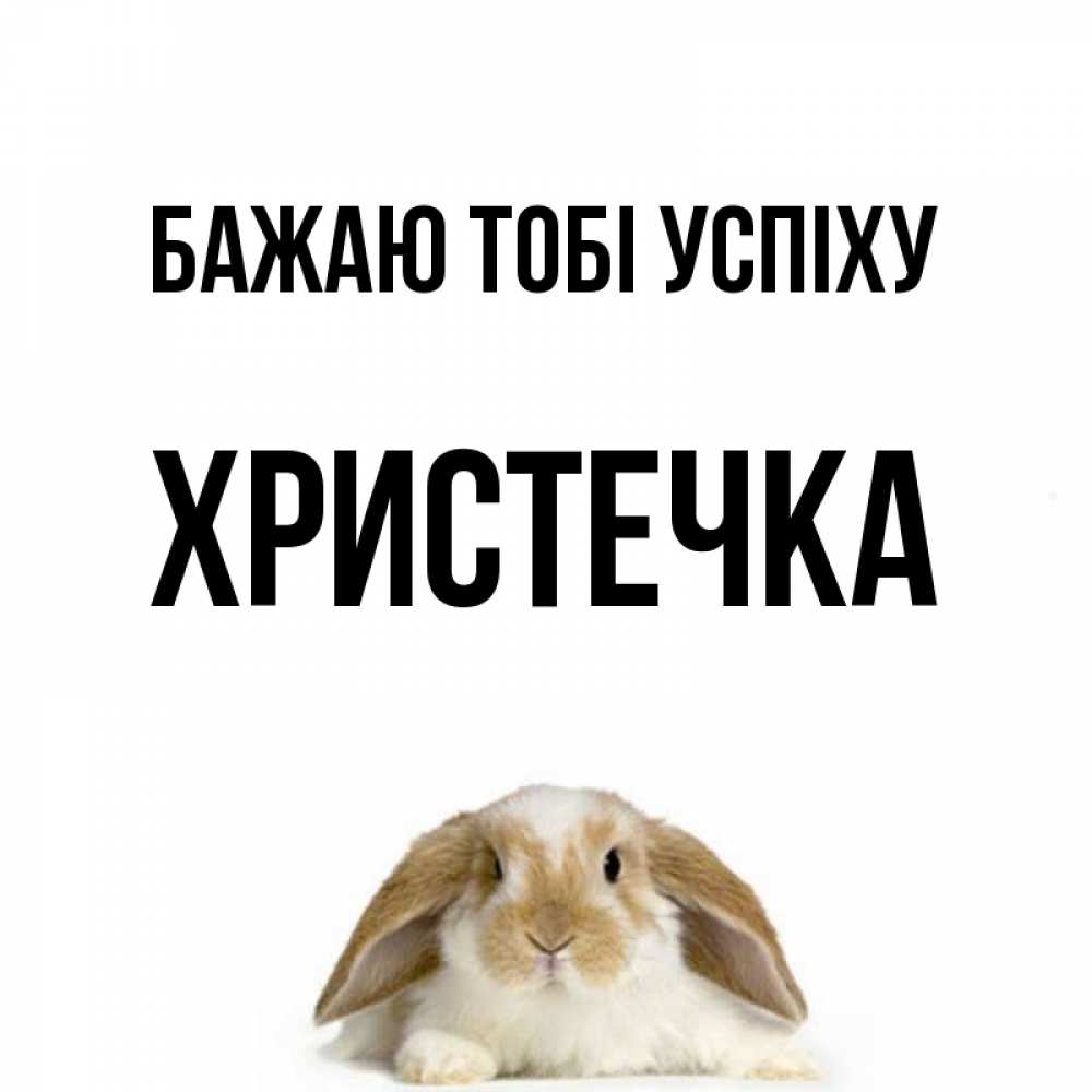 Открытка на каждый день з підписом, Христечка Бажаю тобі успіху открытки с произвольным текстом который можно вставить в открытку и создать ее самостоятельно бесплатно онлайн Прикольна листівка з побажанням онлайн скачати безкоштовно 