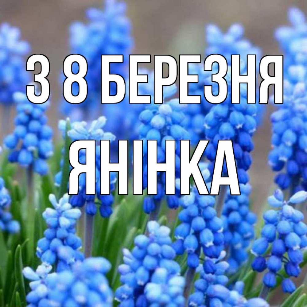 Открытка на каждый день з підписом, Янінка З 8 БЕРЕЗНЯ Поздравительная открытка для женщин с цветами на праздничную дату Прикольна листівка з побажанням онлайн скачати безкоштовно 