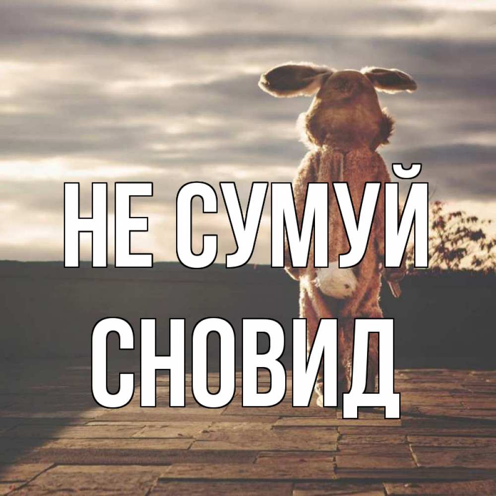 Открытка на каждый день з підписом, Сновид Не сумуй со спины Прикольна листівка з побажанням онлайн скачати безкоштовно 