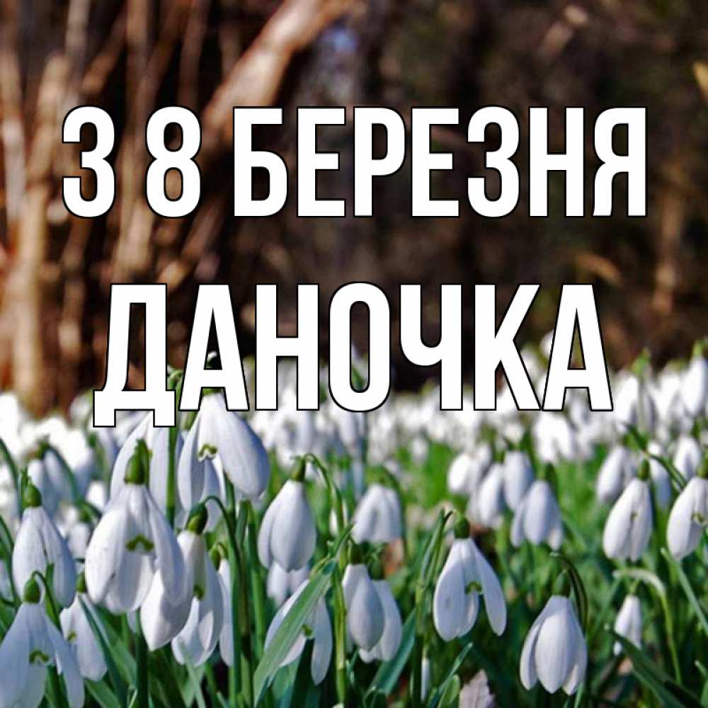 Открытка на каждый день з підписом, Даночка З 8 БЕРЕЗНЯ с подснежниками 1 Прикольна листівка з побажанням онлайн скачати безкоштовно 