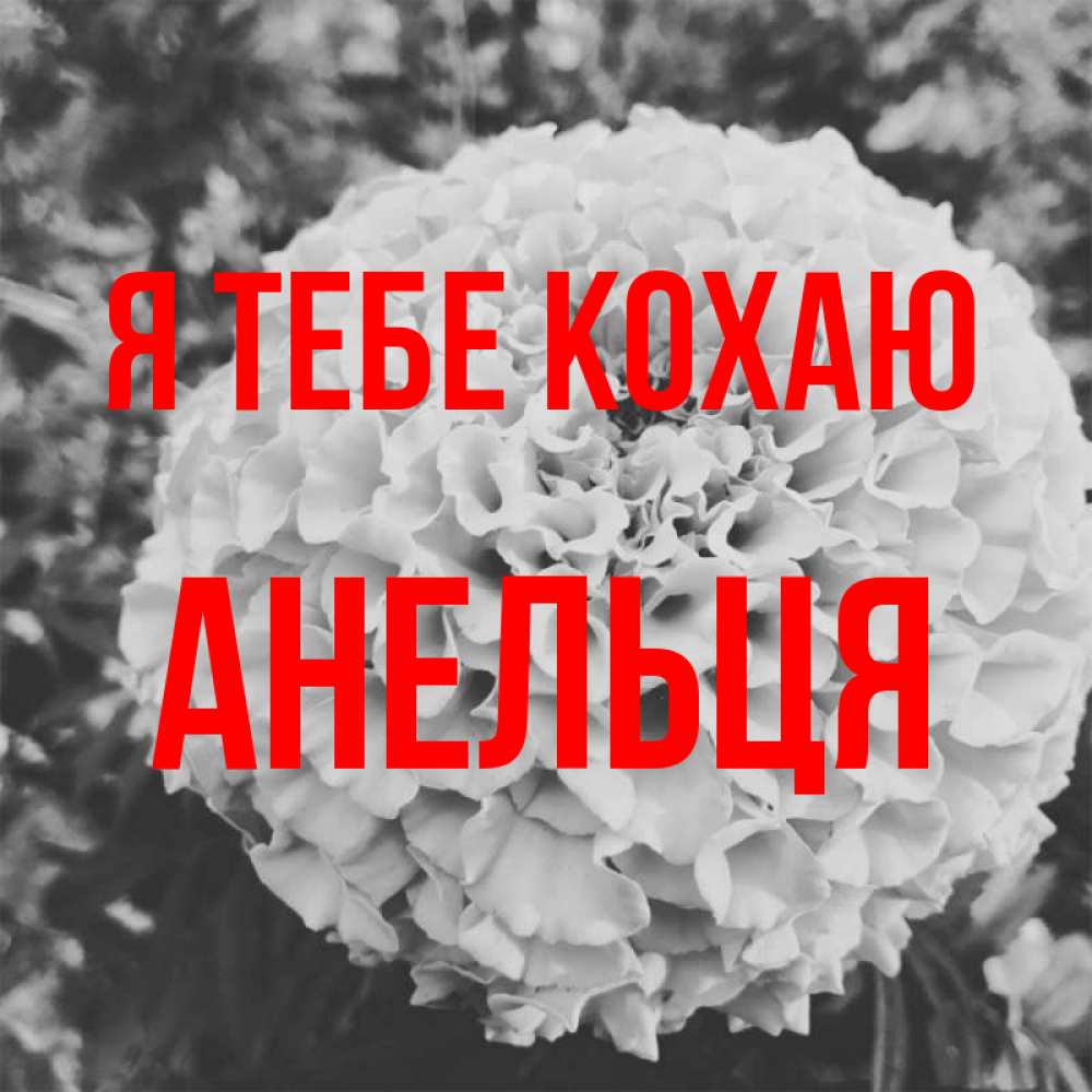 Открытка на каждый день з підписом, Анельця Я тебе кохаю подпись Прикольна листівка з побажанням онлайн скачати безкоштовно 