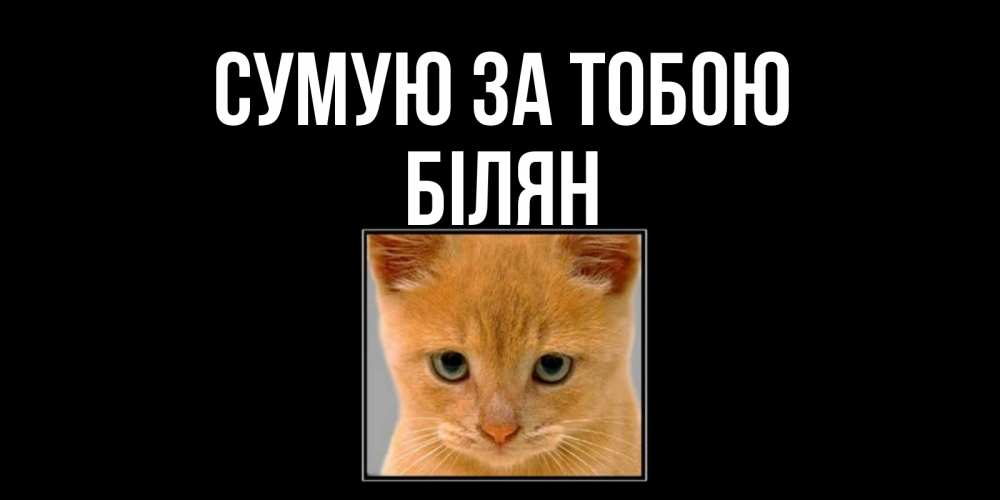 Открытка на каждый день з підписом, Білян Сумую за тобою открытки рыжий котенок скучает по тебе Прикольна листівка з побажанням онлайн скачати безкоштовно 