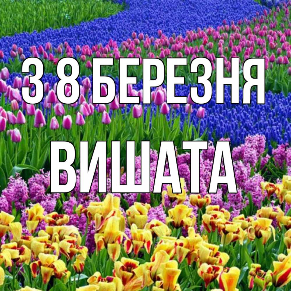 Открытка на каждый день з підписом, Вишата З 8 БЕРЕЗНЯ цветы Прикольна листівка з побажанням онлайн скачати безкоштовно 