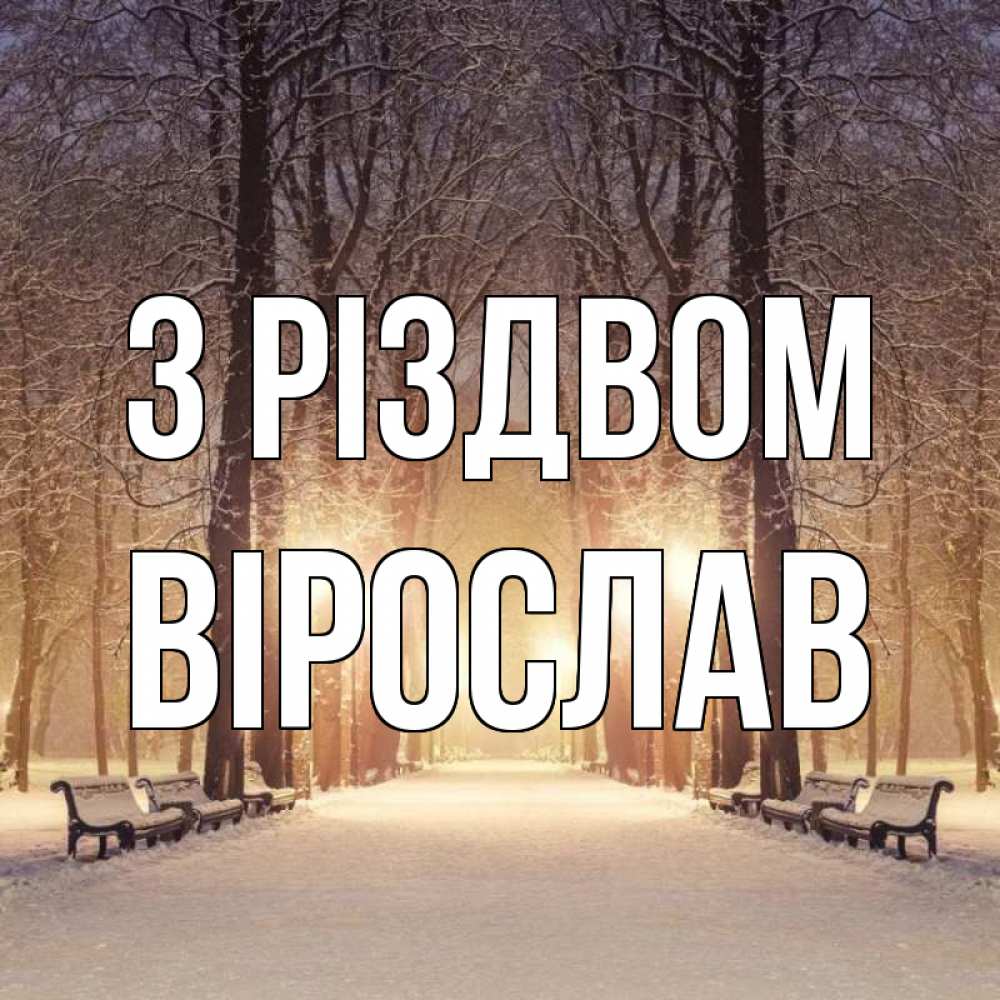 Открытка на каждый день з підписом, Вірослав З Різдвом зима, парк, фонарь, лес Прикольна листівка з побажанням онлайн скачати безкоштовно 
