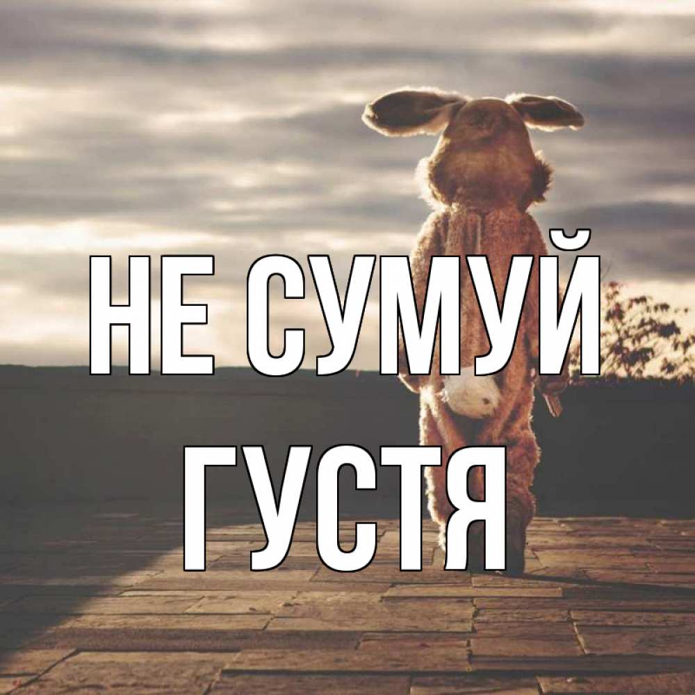 Открытка на каждый день з підписом, Густя Не сумуй со спины Прикольна листівка з побажанням онлайн скачати безкоштовно 