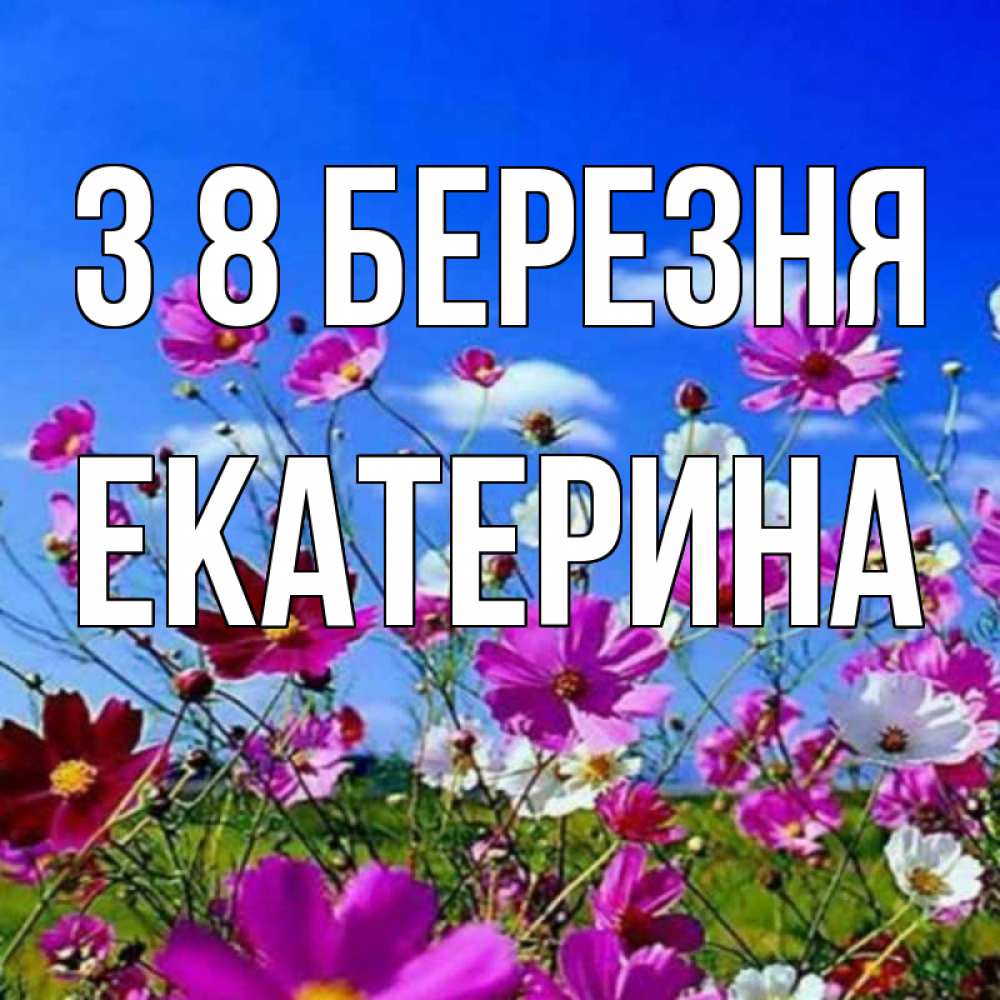 Открытка на каждый день з підписом, Екатерина З 8 БЕРЕЗНЯ цветы Прикольна листівка з побажанням онлайн скачати безкоштовно 
