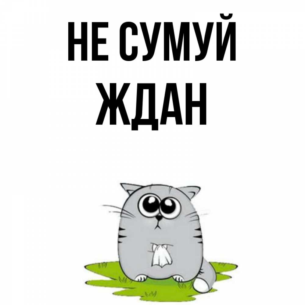 Открытка на каждый день з підписом, Ждан Не сумуй грустный котяра Прикольна листівка з побажанням онлайн скачати безкоштовно 