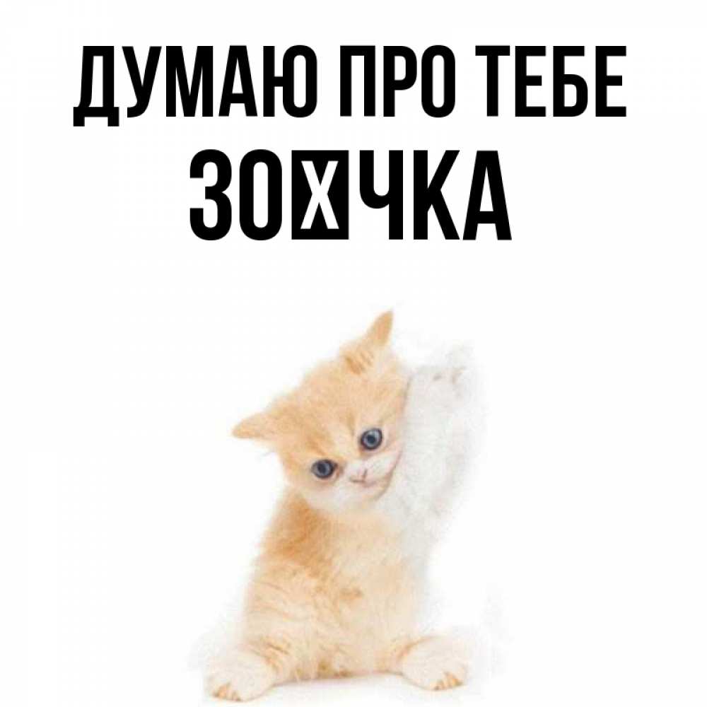 Открытка на каждый день з підписом, Зоєчка Думаю про тебе зверушки и милота Прикольна листівка з побажанням онлайн скачати безкоштовно 