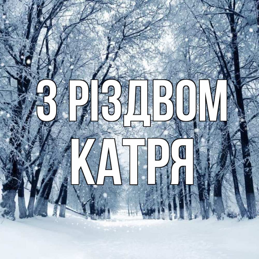 Открытка на каждый день з підписом, Катря З Різдвом снег, лес, парк Прикольна листівка з побажанням онлайн скачати безкоштовно 