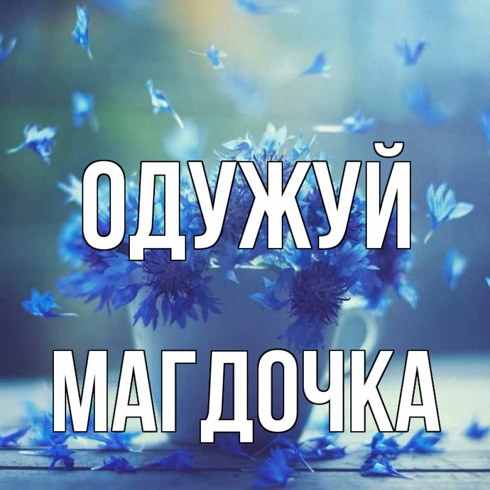Открытка на каждый день з підписом, Магдочка Одужуй кружка с зельем и цветами Прикольна листівка з побажанням онлайн скачати безкоштовно 