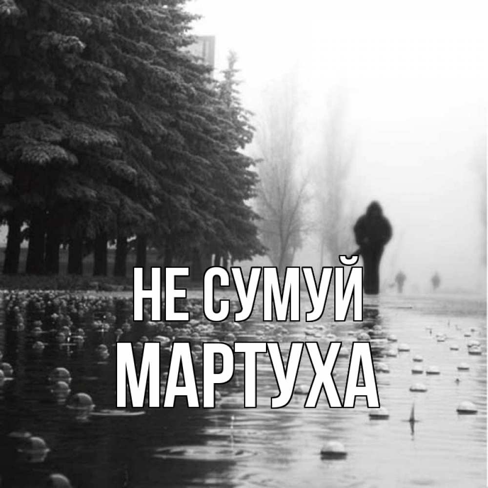 Открытка на каждый день з підписом, Мартуха Не сумуй улица под дождем Прикольна листівка з побажанням онлайн скачати безкоштовно 
