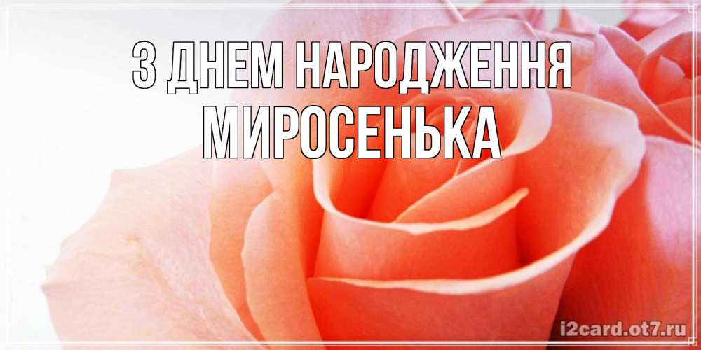 Открытка на каждый день з підписом, Миросенька З Днем народження розы для поздравления с днем рождения Прикольна листівка з побажанням онлайн скачати безкоштовно 