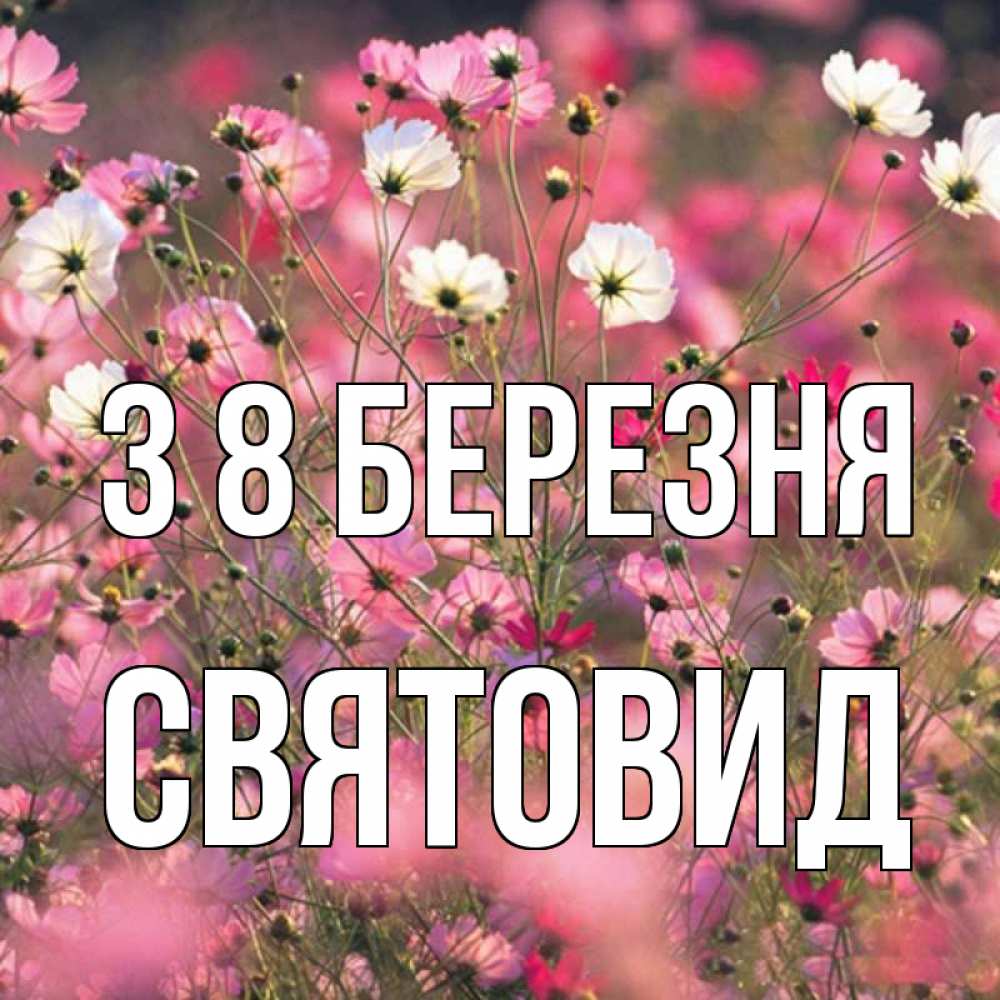 Открытка на каждый день з підписом, Святовид З 8 БЕРЕЗНЯ красиво 1 Прикольна листівка з побажанням онлайн скачати безкоштовно 