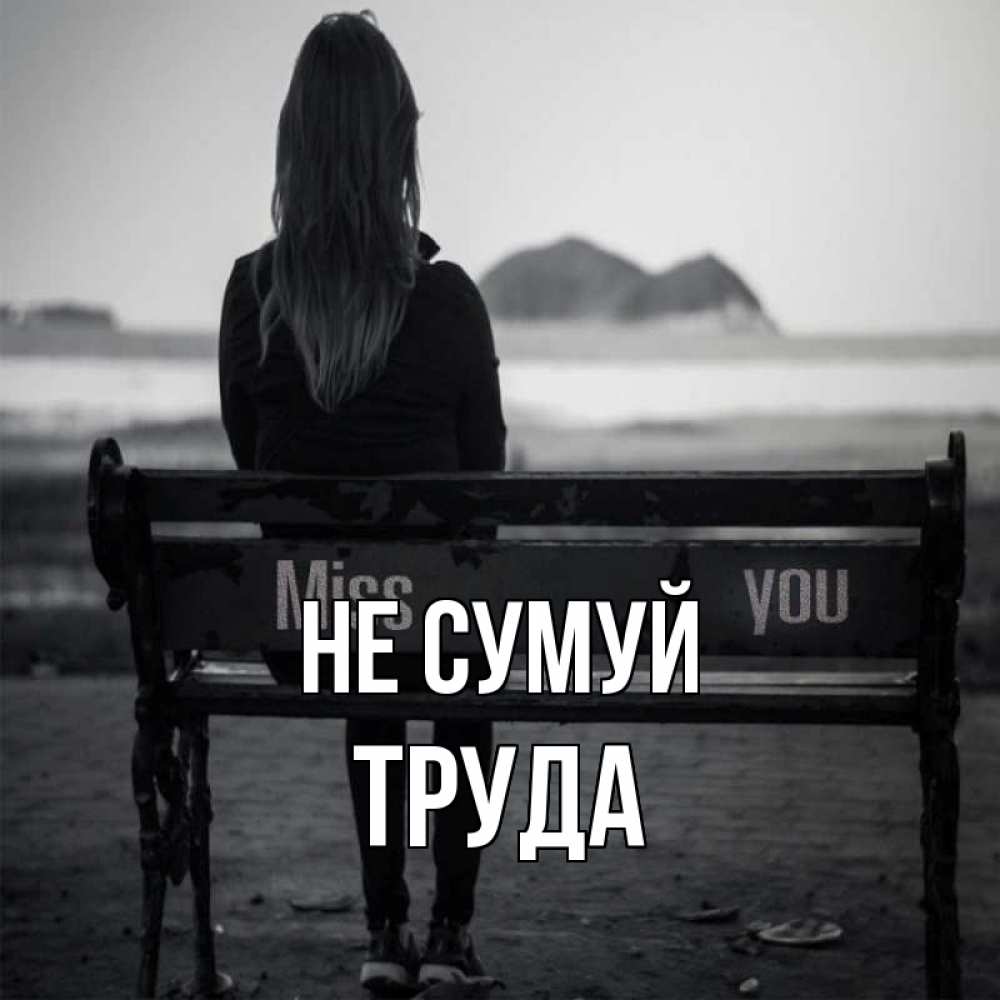 Открытка на каждый день з підписом, Труда Не сумуй смотрит на скалы Прикольна листівка з побажанням онлайн скачати безкоштовно 