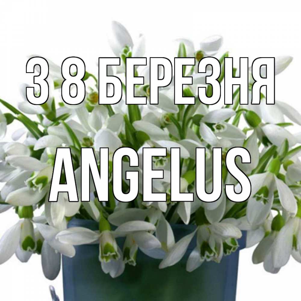 Открытка на каждый день з підписом, Angelus З 8 БЕРЕЗНЯ цветы к международному женскому дню Прикольна листівка з побажанням онлайн скачати безкоштовно 