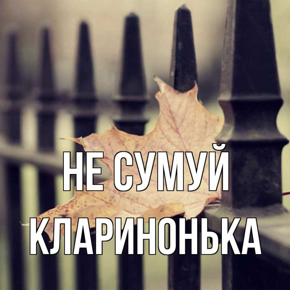 Открытка на каждый день з підписом, Кларинонька Не сумуй лист клена Прикольна листівка з побажанням онлайн скачати безкоштовно 